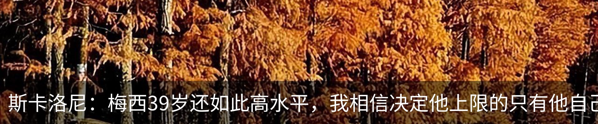 内页banner