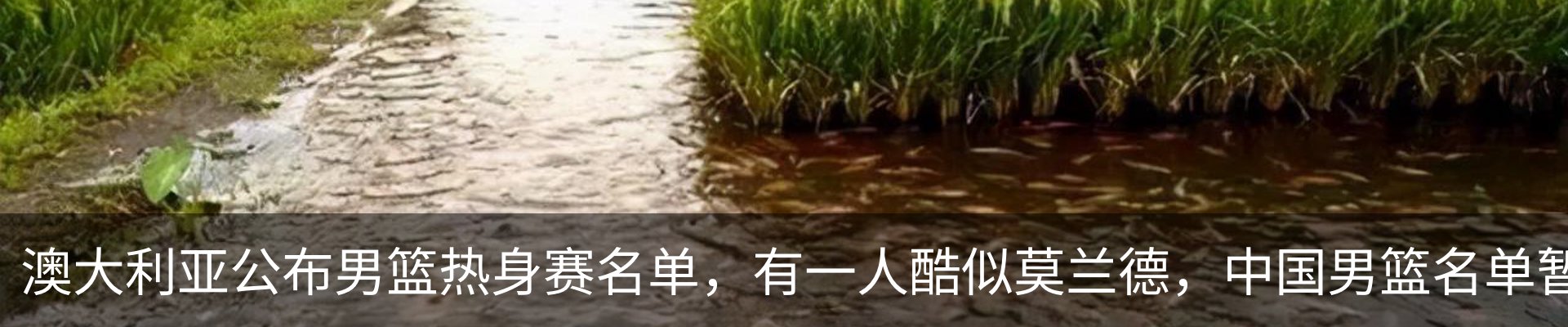 内页banner