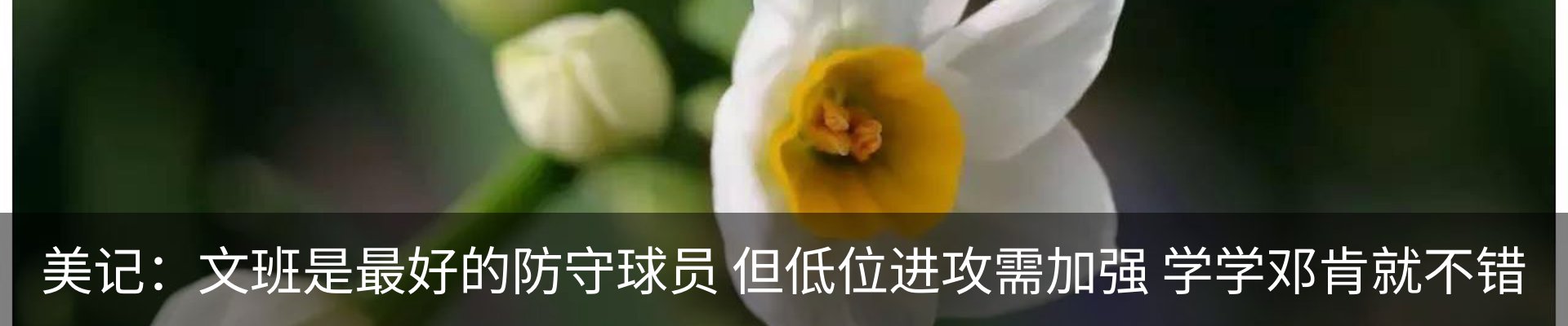内页banner