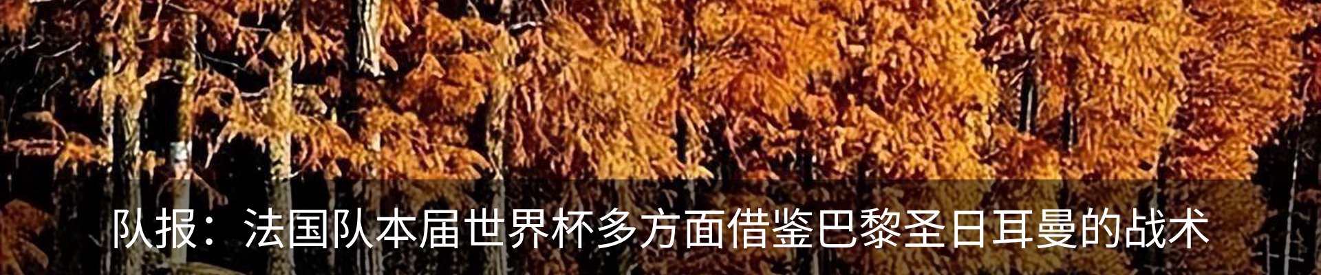 内页banner